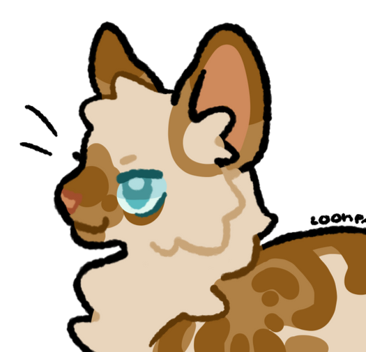 Robinpaw